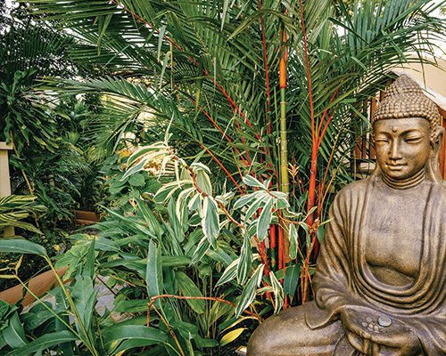 OUTDOOR-BUDDHA-PATIO-AND-BEACH-AREA-tWO-COLOUM-CARD-500X400