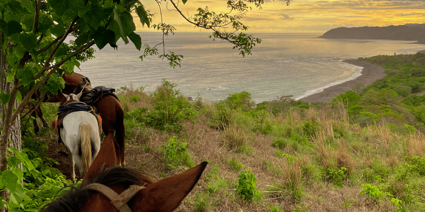 HorsebackHills_1700x850