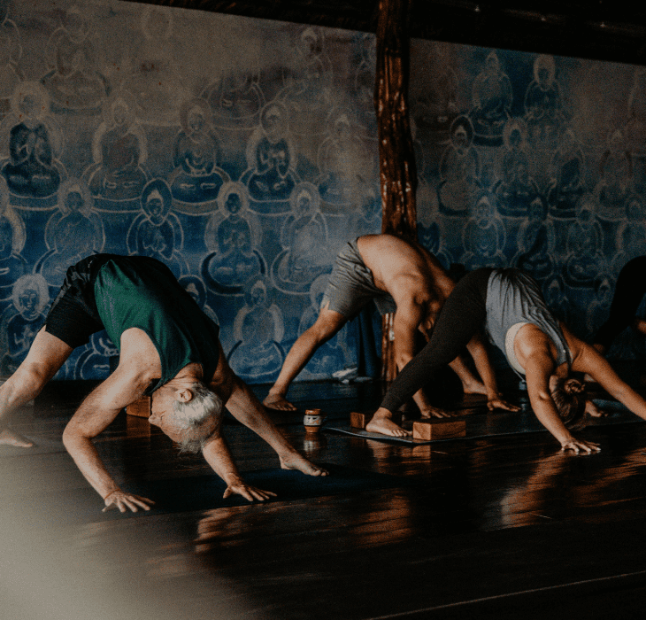 WideStretch_730x700