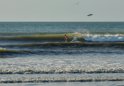 Hello August! | ¡Hola Agosto!