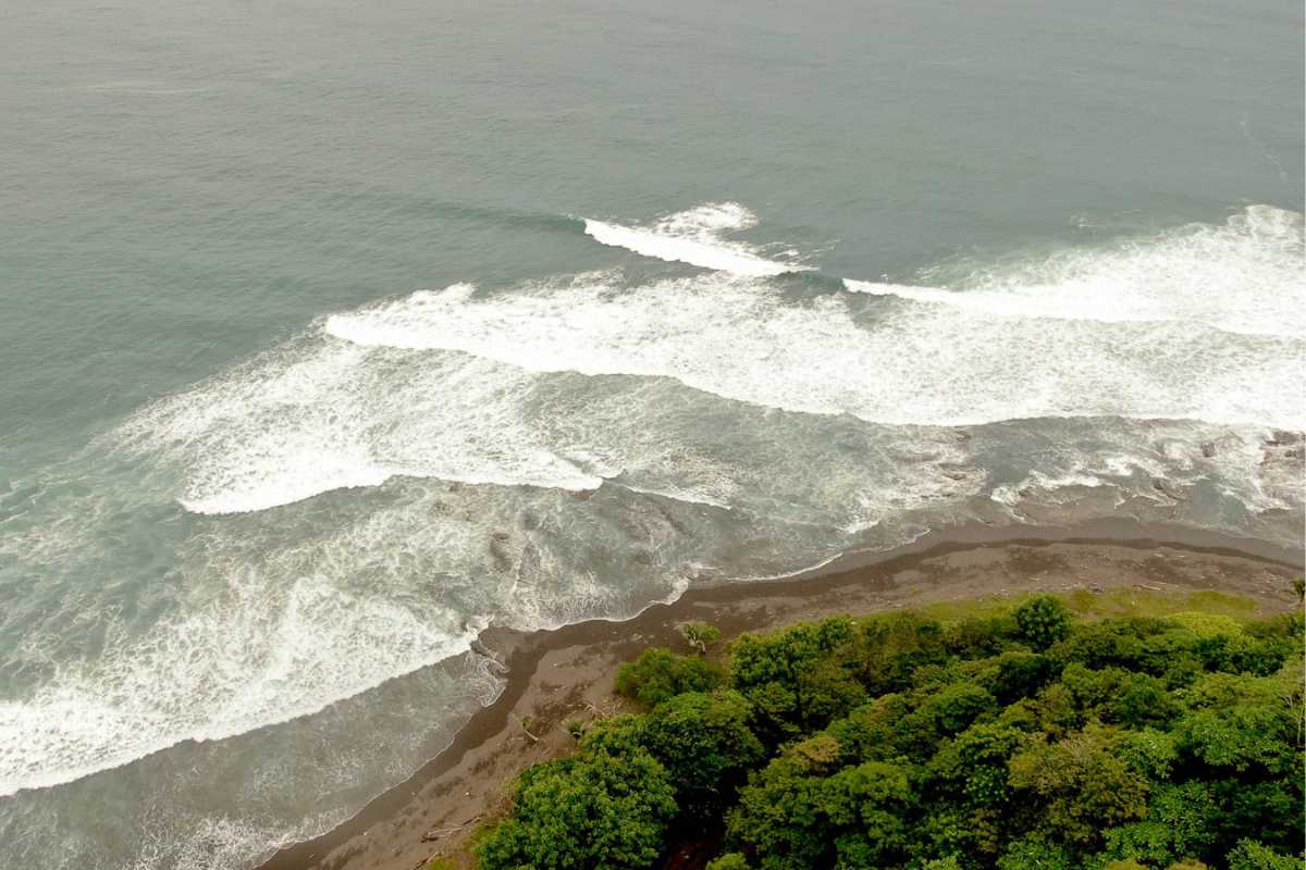 411 Point Break Wave