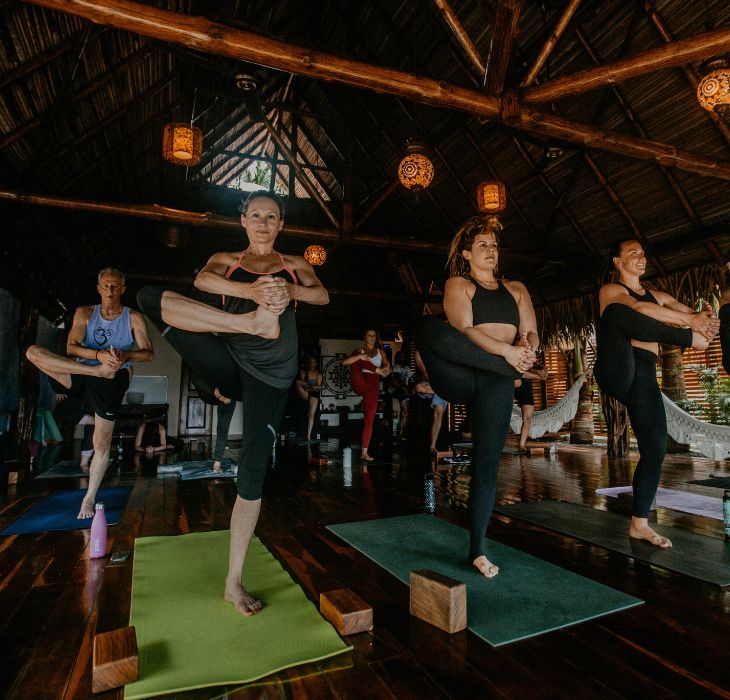 YogaPeaceTree_730x700