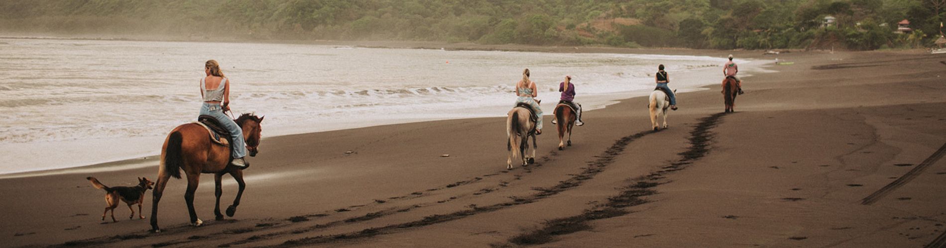 Guided beachfront horseback trips
