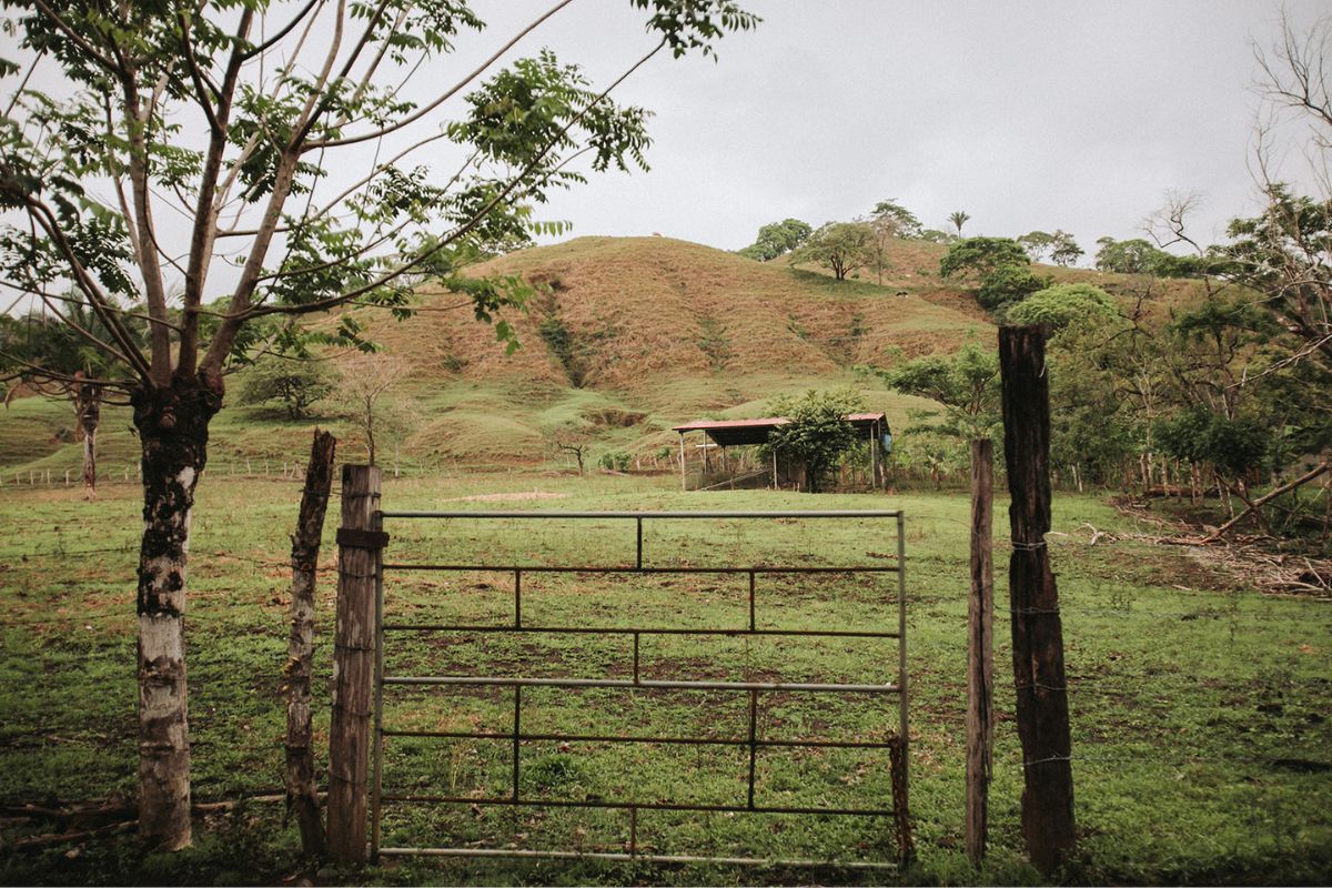 Sustainable Horseback Adventures