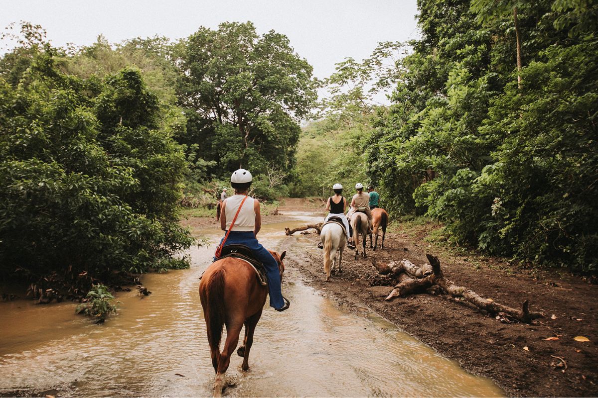 Panama Hieroglyphics Horseback Rides