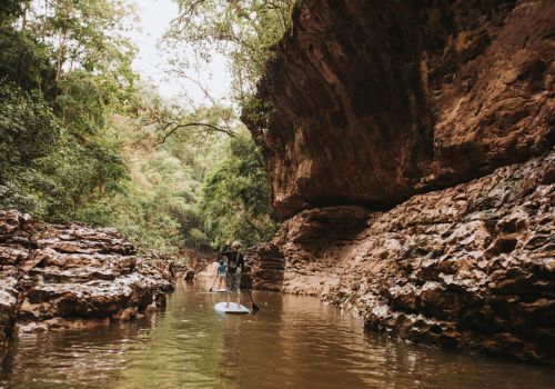 Panama Jungle Tours and Wildlife Encounters