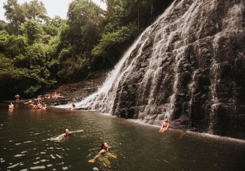 July 2025 Newsletter