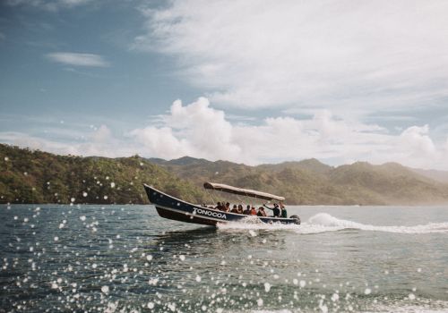 Whales are Singing Offshore (+ Your 6th Night is Free!)