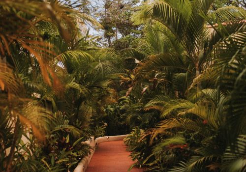 Spaces That Speak: An Interview With Sansara Co-Founder Mike Phillips