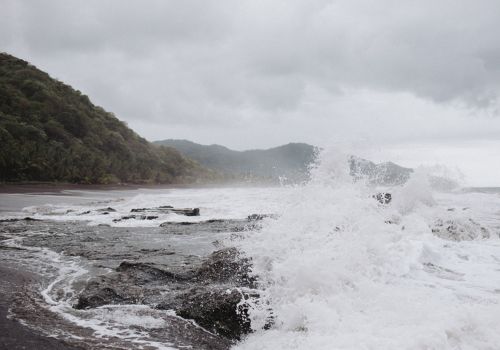 Adopt the Pace of Nature