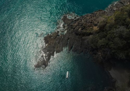 What people are really needing right now…